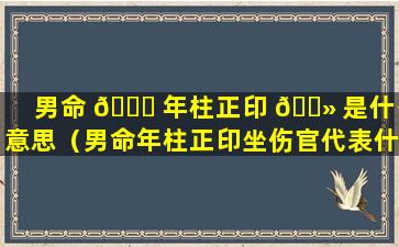 男命 🐒 年柱正印 🌻 是什么意思（男命年柱正印坐伤官代表什么）